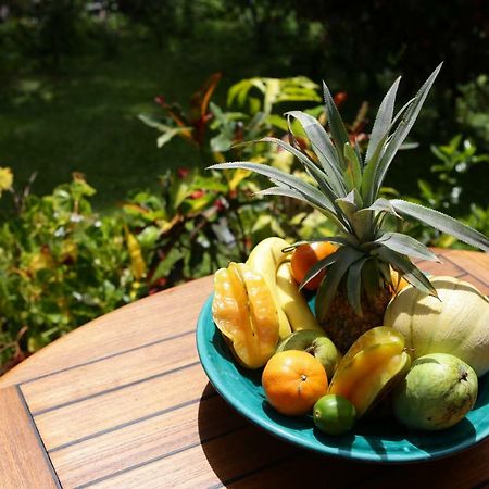 Le Talisman Apartment Goyave Ngoại thất bức ảnh